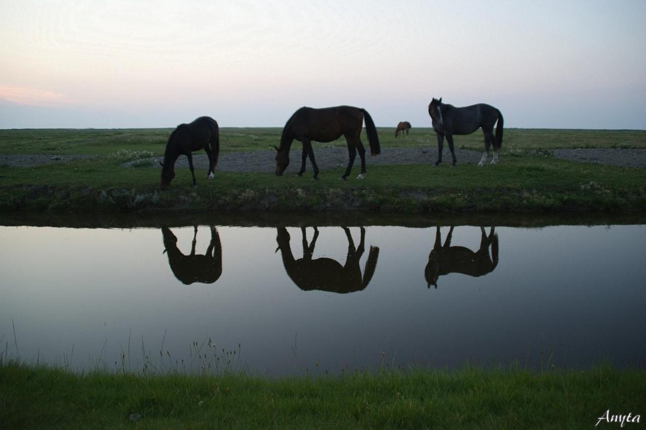 Vakantiewoning Oer It Fjild Holwerd Exterior foto