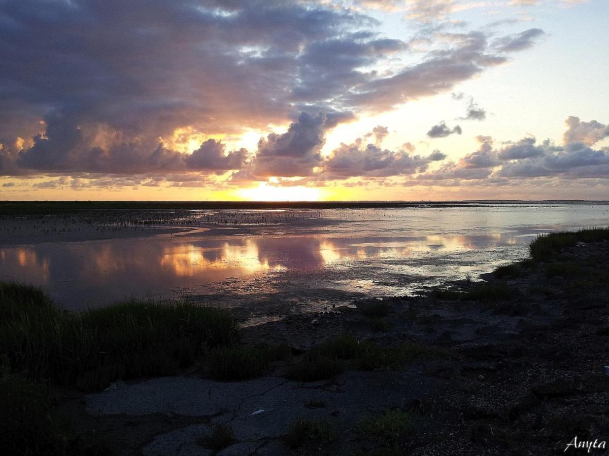 Vakantiewoning Oer It Fjild Holwerd Exterior foto